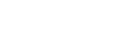 camel_active